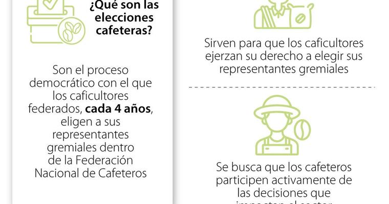 Más de 349.900 cafeteros votarán para elegir a 4.848 representantes de la Fedecafe