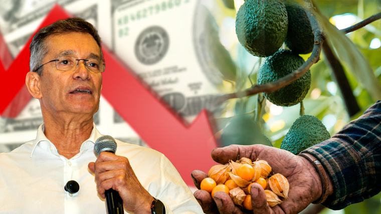 Dólar barato ya cobró la vida de cuatro empresas exportadoras. Se temen más quiebras