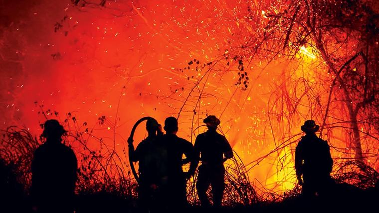 Tiendas Ara dona ocho toneladas de alimentos a familias afectadas por incendios en Tolima