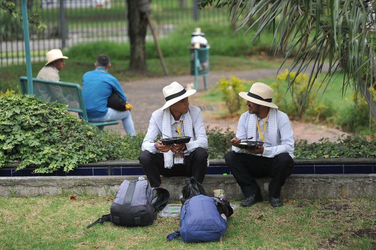 Caficultores votaron por WhatsApp: la FNC prueba la urna digital