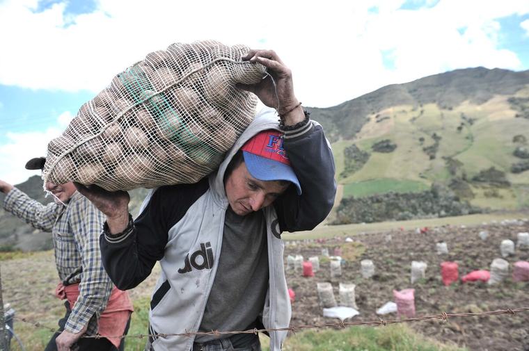 Los precios al productor frenan en agosto mientras el agro mantiene presión