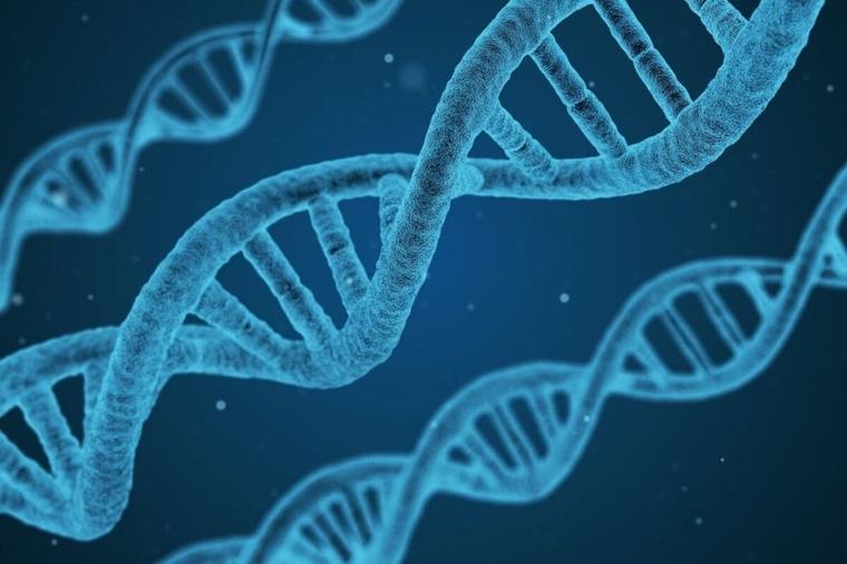 La personalidad también está en los genes: científicos identifican 1.260 variantes clave