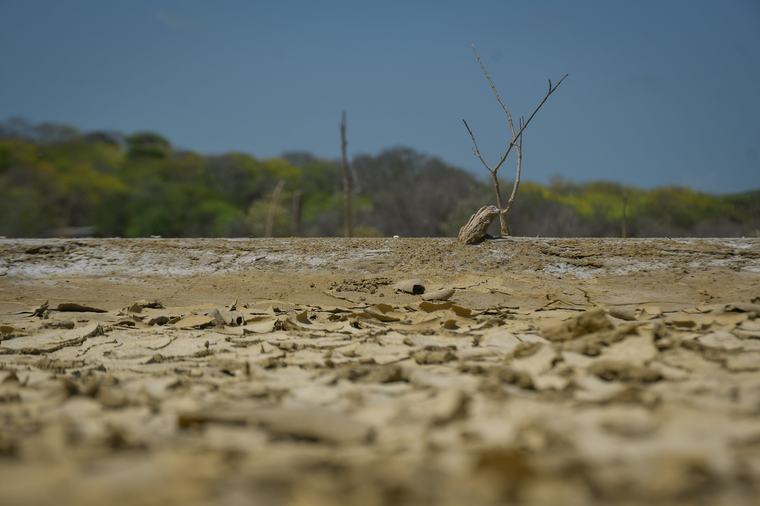 Fenómeno de El Niño se intensificará en los próximos meses hasta convertirse en un evento de intensidad muy fuerte: OMM
