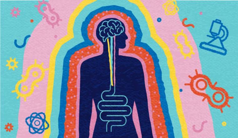Los influencers encontraron una nueva obsesión (y fuente de dinero): la microbiota